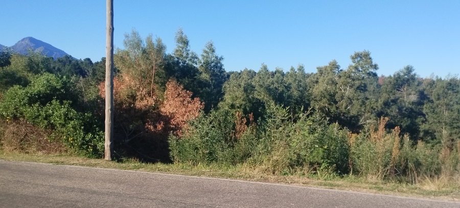 0 Bedroom Property for Sale in Friemersheim Western Cape